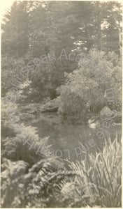 Image of Japanese Garden, Golden Gate Park