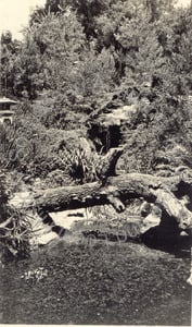 Image of Huntington Japanese Garden, Pasadena