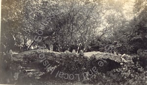 Image of River Japanese Garden, Monrovia