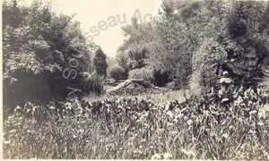 Image of Huntington Japanese Garden, Pasadena