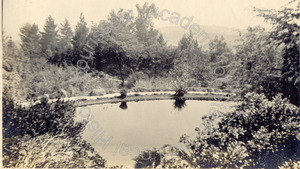 Image of Lake Merrit, Oakland