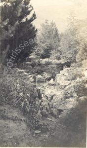 Image of Brook on the William A. Spinks, Jr. Estate, Monrovia