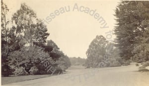 Image of Vista, Street intersection, Golden Gate Park