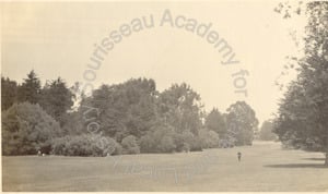 Image of Vista, Open lawn & good foreground planting, Golden Gate