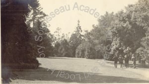 Image of Shadows on Lawn, Jennie Crocker Whitman Estate, Burlingame