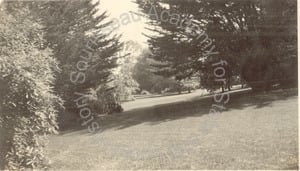 Image of Vista, Jennie Crocker Whitman Estate, Burlingame