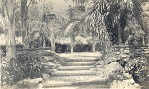 Image of George A. Newhall Estate, Burlingame -- showing mall, Hawthorne trees at side