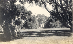 Image of Mall on Francis T. Underhill Estate, Santa Barbara