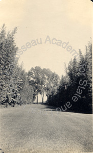 Image of Mall on Francis T. Underhill Estate, Santa Barbara