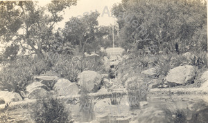 Image of Development below swimming pool, George O. Knapp Estate