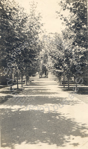 Image of Looking toward rose garden, George A. Newhall Estate, Burlingame