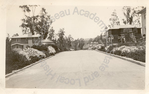 Image of Street Planting, St. Francis Wood, San Francisco