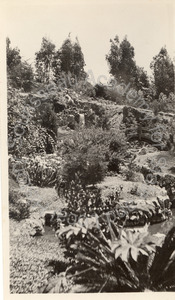 Image of Garden