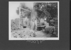 Image of Dipping prunes at the G.S. Rawlings Farm