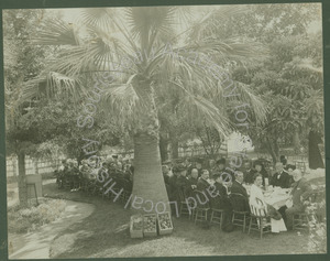 Image of Group Portrait of a Social Gathering