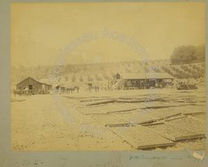 Image of Crandall & Rice Dryer operation