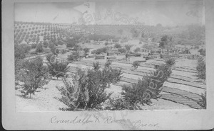 Image of Crandall & Rice Drier