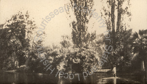 Image of Scenes around the lake