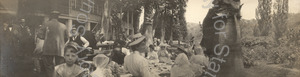 Image of Lunch under the palms