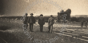 Image of Fruit drying field at Coyote Ranch