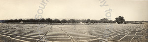 Image of Fruit drying in a field at Coyote Ranch