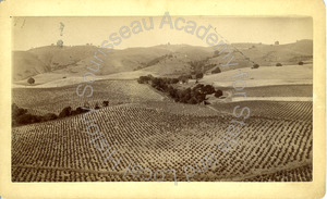 Image of Evergreen Ranch above San Jose