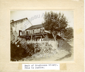 Image of Back of Prudhomme Winery