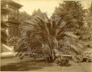 Image of James A. Clayton at his house on 471 North First Street