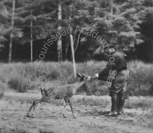 Image of Unidentified man feeding a deer near a forest