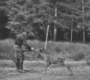 Image of Unidentified man feeding a deer near a forest