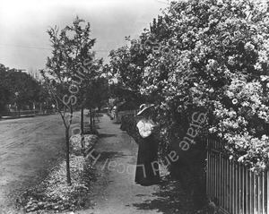 Image of Florence Hill on side walk near fence with roses