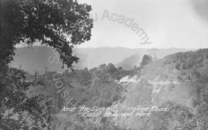 Image of Near the summit, Saratoga Road, Calif. Redwood Park