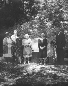 Image of Rededication of the Andrew P. Hill fountain in the Big Basin Redwoods State Park