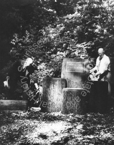 Image of Rededication of the Andrew P. Hill fountain in the Big Basin Redwoods State Park