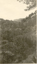 Image of William H. Crocker Estate, Hillsborough