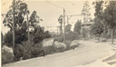 Image of Division of traffic way & parking on slope, Thousand Oaks, Berkeley