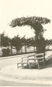 Image of Light standard covered with vines, Ingleside Terrace subdivision