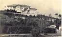 Image of Well proportioned house and good planting, Hollywood