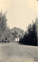 Image of Mall on Francis T. Underhill Estate, Santa Barbara