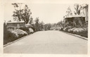 Image of Street Planting, St. Francis Wood, San Francisco