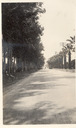 Image of Poor street planting, Monrovia