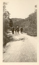 Image of The Bunch on Crocker Estate