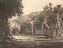 Image of Chinese Pagoda