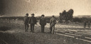 Image of Fruit drying field at Coyote Ranch