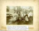 Image of Unpacking grape vines obtained in France