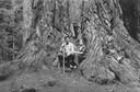 Image of Andrew P. Hill, Jr, Ruth and Birdella Hill at Big Basin