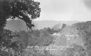 Image of Near the summit, Saratoga Road, Calif. Redwood Park