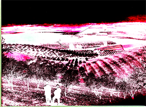 Cover image for Crandall (Fred W.) Photographs